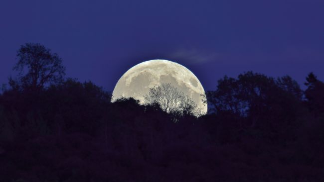Susan Snow | Silhouette Moonrise