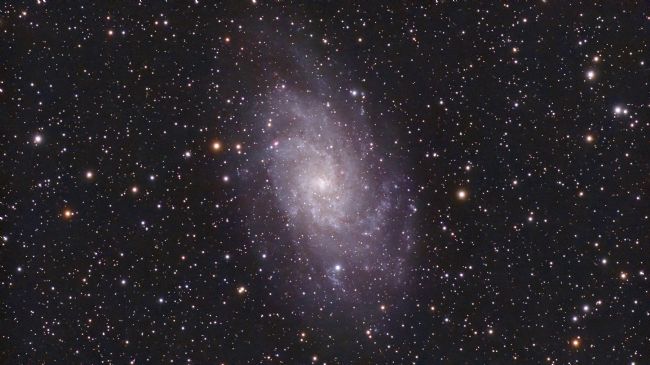 Susan Snow | Triangulum Galaxy