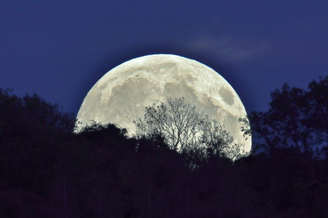 Susan Snow | Moonrise