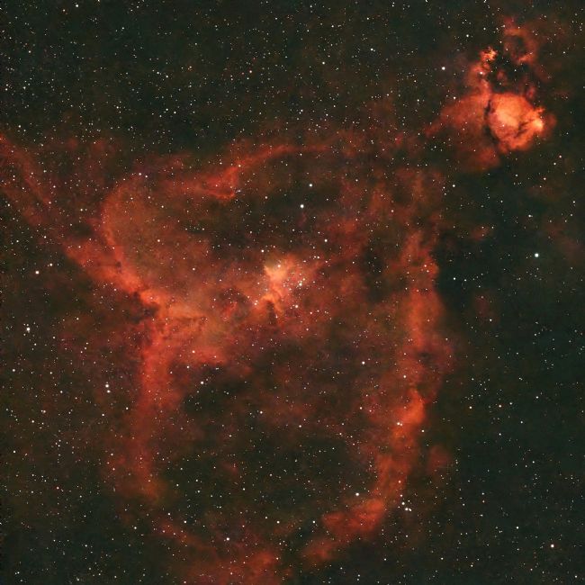 Susan Snow | Heart Nebula