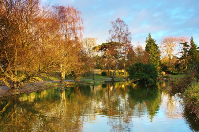 Susan Snow | Hatherley Park Lake
