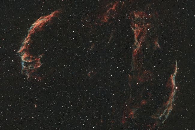 Susan Snow | Cygnus Loop