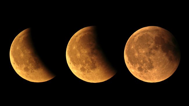 Susan Snow | Partial Lunar Eclipse Collage