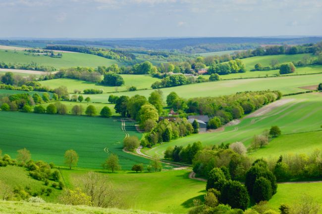 Penny Martin | English Countryside at Combe in Wiltshire
