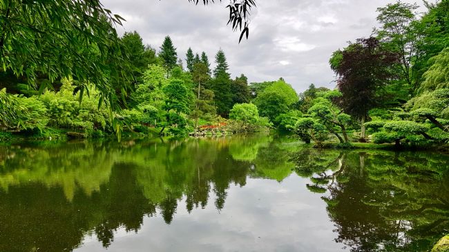 Penny Martin | The Parc Oriental de Maulévrier