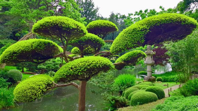 Penny Martin | The Parc Oriental de Maulévrier 