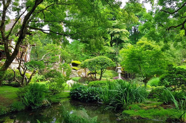 Penny Martin | The Parc Oriental de Maulévrier