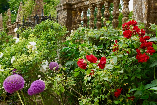 Penny Martin | Beautiful Floral Display