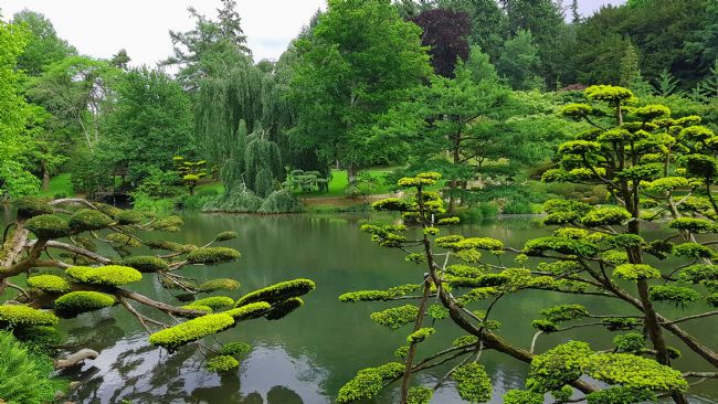 Penny Martin | The Parc Oriental de Maulévrier