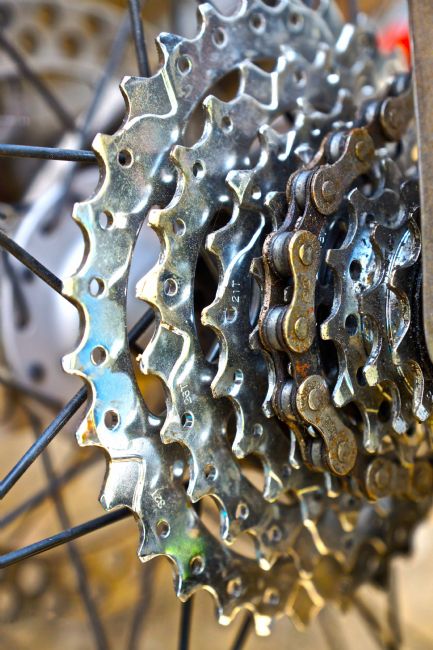 Penny Martin | Bicycle Gears