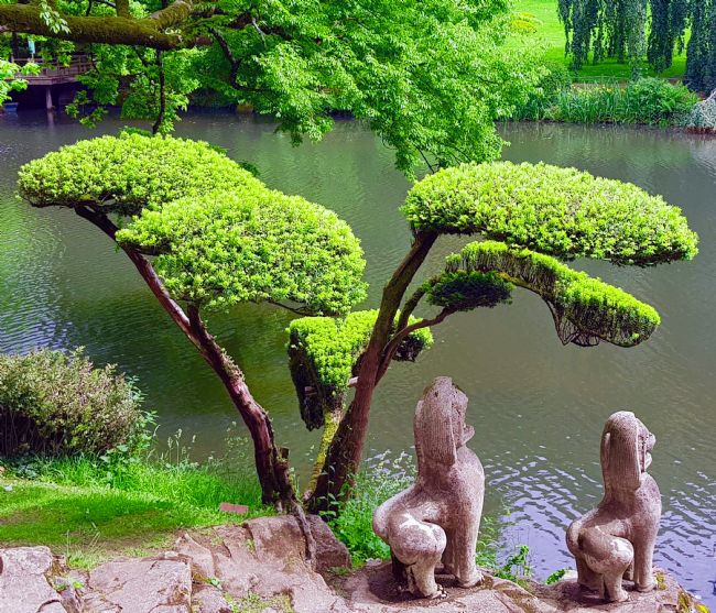 Penny Martin | The Parc Oriental de Maulévrier