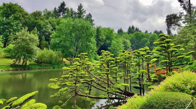 Penny Martin | The Parc Oriental de Maulévrier