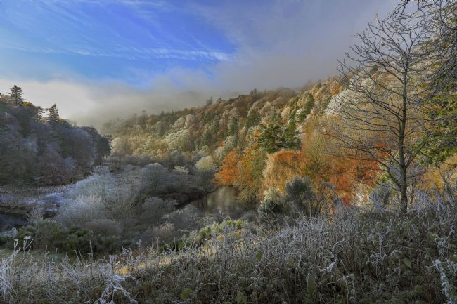Pete Lawless | A Winter's Day On the Tweed