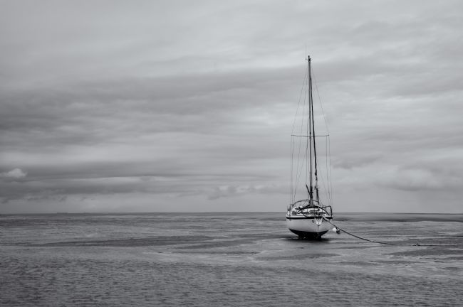 Pete Lawless | The Tide Is Out