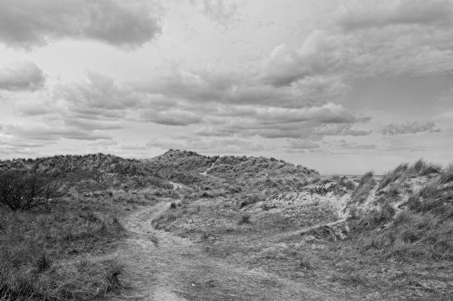 George Davidson | To the Dunes