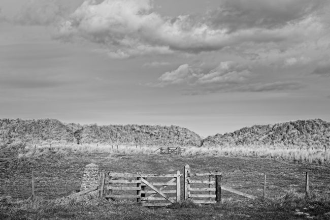 George Davidson | Gateway