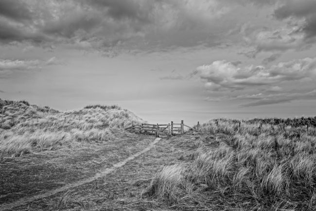 George Davidson | Nearly There