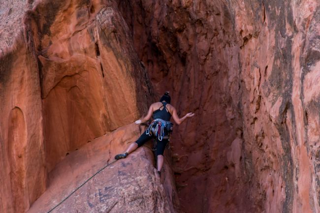 Mike Carroll | Which way now