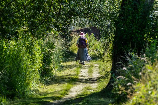 Mike Carroll | Summer Walk