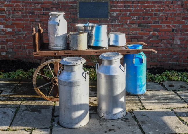 Mike Carroll | Outside the dairy