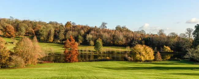 Mike Carroll | Autumn Panorama