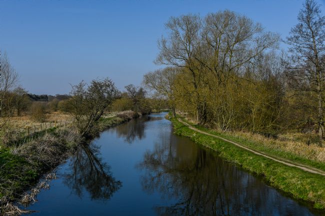 Mike Carroll | River Stort in spring