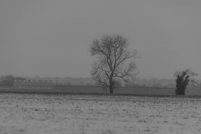 Mike Carroll | Country Snowstorm