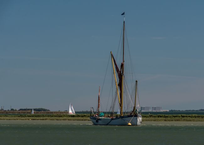 Mike Carroll | Blue Mermaid