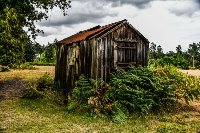 Mike Carroll | The old gardeners hut