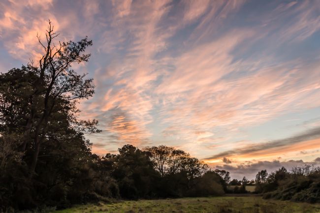 Mike Carroll | Bocking Sunset