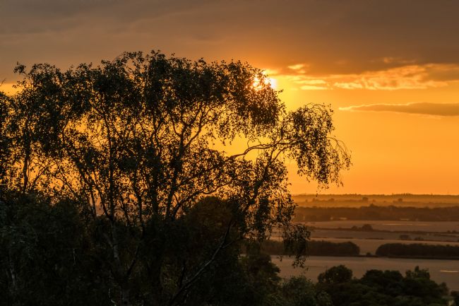 Mike Carroll | Therfield Sunset