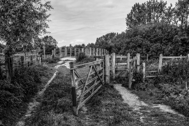 Mike Carroll | Gate to the bridge - Black and white