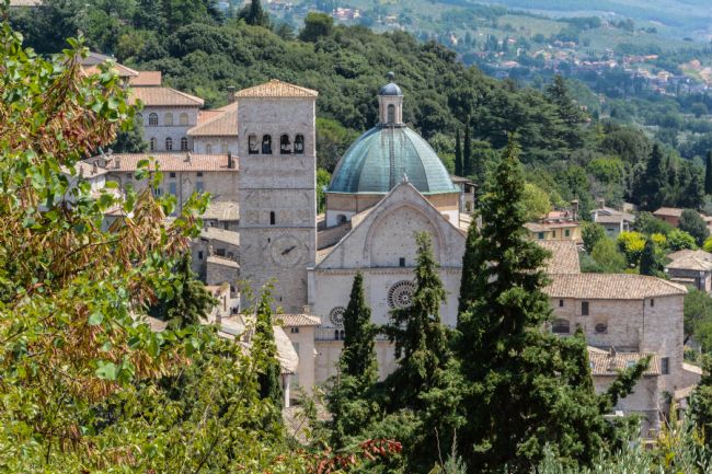 Mike Carroll | Assisi