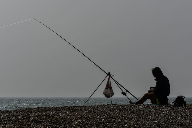 Mike Carroll | Gone Fishing