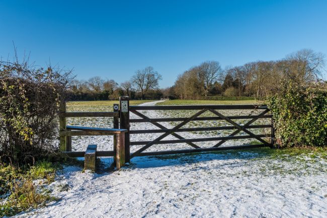 Mike Carroll | The morning after the snow