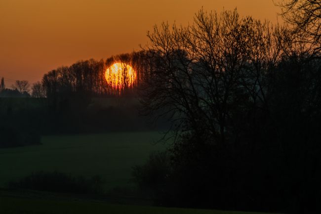 Mike Carroll | Mid-winter sunset