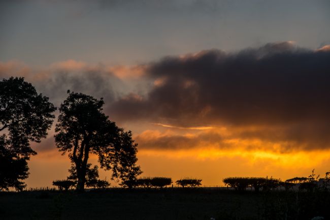 Mike Carroll | Northumbrian Sunset