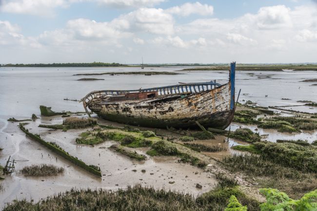 Mike Carroll | Blackwater Wreck