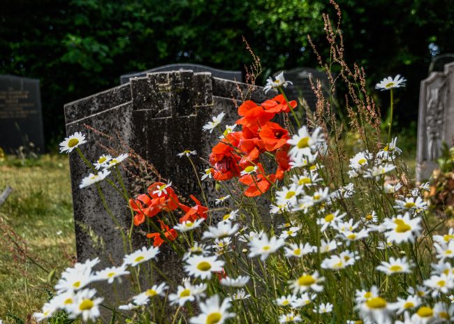 Mike Carroll | In a Country Churchyard (2)