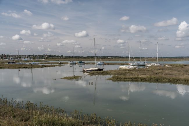Mike Carroll | Tollesbury Marina