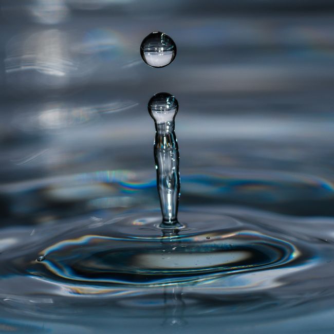 Mike Carroll | Splash (1)