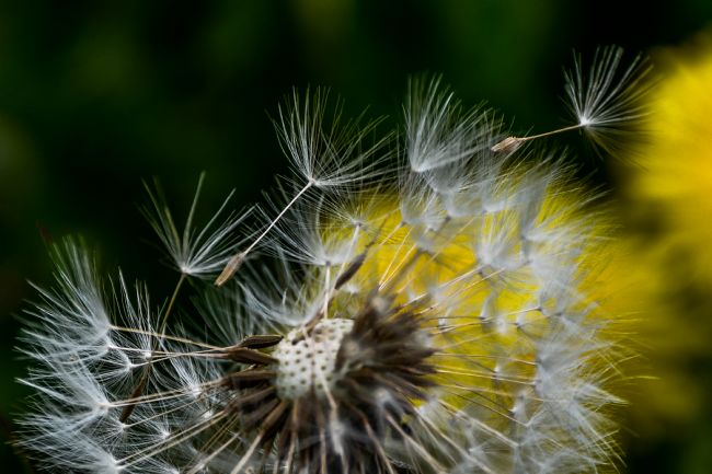 Mike Carroll | Going, going, gone