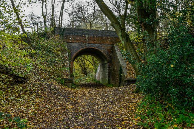Mike Carroll | Bridge Ahead