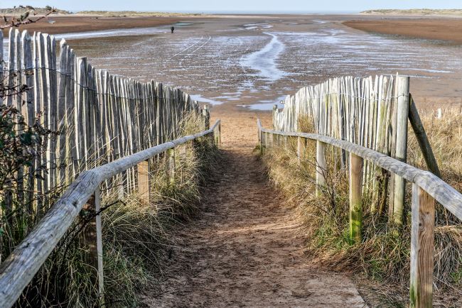 Mike Carroll | The path to Holkham beach