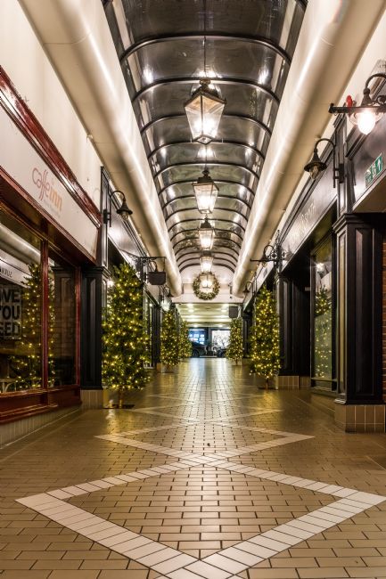 Mike Carroll | Florence Walk at Christmas (1)