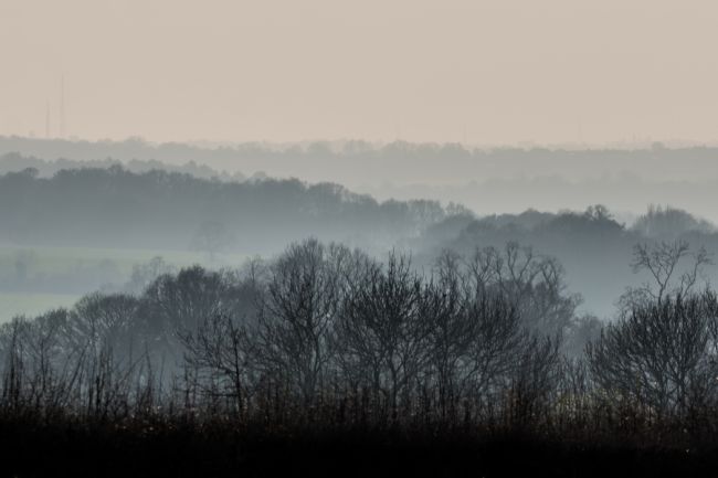 Mike Carroll | Much Hadham landscape