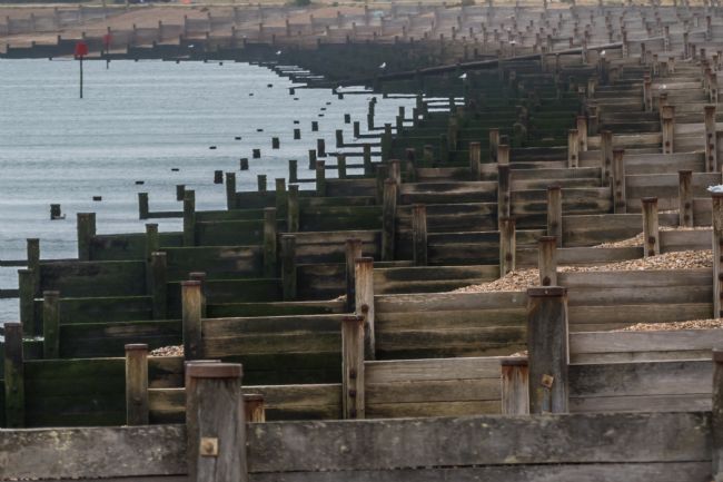 Mike Carroll | Groynes, Groynes, Groynes