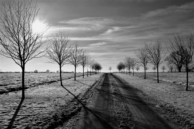 Mike Carroll | Winter's Day in Old Thorley