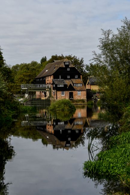 Mike Carroll | Houghton Mill