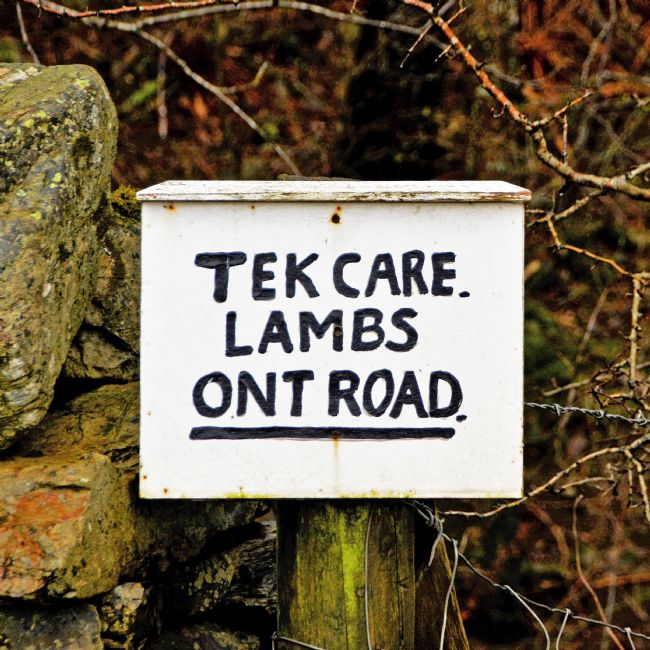 Mike Carroll | Oh aye - watch out!